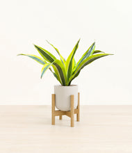 Load image into Gallery viewer, Natural Bamboo stand:bamboo
