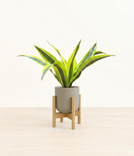 Load image into Gallery viewer, Sage Green stand:bamboo
