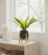 Load image into Gallery viewer, Black stand:bamboo
