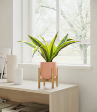 Load image into Gallery viewer, Calm Rose stand:bamboo
