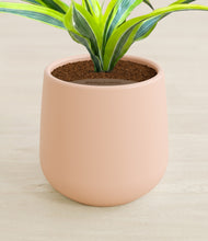 Load image into Gallery viewer, Gentle Pink stand:all
