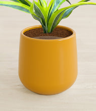 Load image into Gallery viewer, Mustard stand:all
