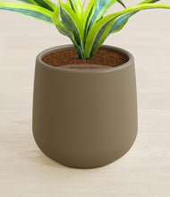 Load image into Gallery viewer, Olive stand:all
