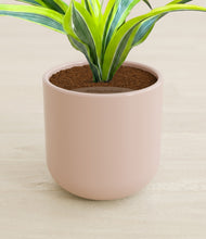 Load image into Gallery viewer, Sandy Pink stand:all
