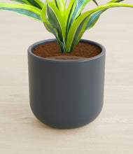 Load image into Gallery viewer, Iron Gray stand:all
