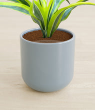 Load image into Gallery viewer, Misty Blue stand:all
