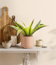 Load image into Gallery viewer, Gentle Pink
