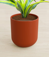 Load image into Gallery viewer, Earth Red stand:all
