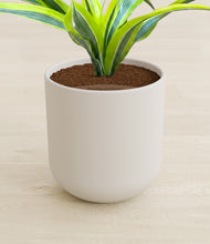 Load image into Gallery viewer, Natural Bamboo stand:all
