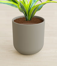 Load image into Gallery viewer, Sage Green stand:all
