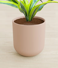 Load image into Gallery viewer, Sandy Pink stand:all
