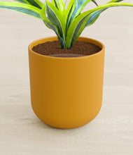 Load image into Gallery viewer, Sunset Orange stand:all
