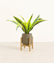 Load image into Gallery viewer, Olive stand:bamboo
