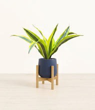 Load image into Gallery viewer, Deep Navy stand:bamboo
