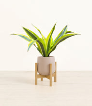 Load image into Gallery viewer, Eternal Gray stand:bamboo
