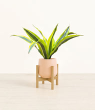 Load image into Gallery viewer, Gentle Pink stand:bamboo

