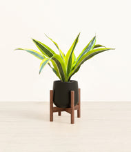 Load image into Gallery viewer, Black stand:walnut

