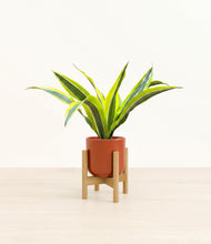 Load image into Gallery viewer, Glossy Red stand:bamboo
