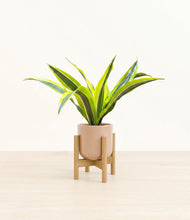 Load image into Gallery viewer, Glossy Pink stand:bamboo
