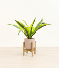 Load image into Gallery viewer, Sandy Pink stand:bamboo
