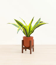 Load image into Gallery viewer, Glossy Red stand:walnut
