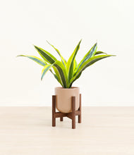 Load image into Gallery viewer, Glossy Pink stand:walnut
