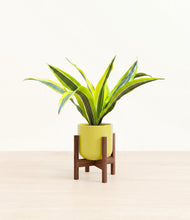 Load image into Gallery viewer, Key Lime Yellow stand:walnut
