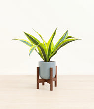 Load image into Gallery viewer, Misty Blue stand:walnut
