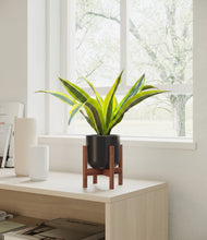 Load image into Gallery viewer, Stone Black stand:walnut
