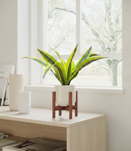 Load image into Gallery viewer, Cotton White stand:walnut
