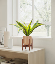 Load image into Gallery viewer, Glossy Pink stand:walnut
