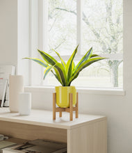 Load image into Gallery viewer, Key Lime Yellow stand:bamboo
