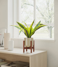 Load image into Gallery viewer, Sage Green stand:walnut
