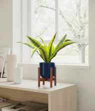 Load image into Gallery viewer, Twilight Blue stand:walnut

