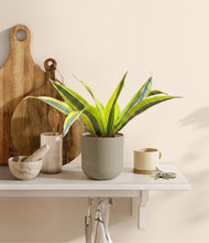 Load image into Gallery viewer, Sage Green
