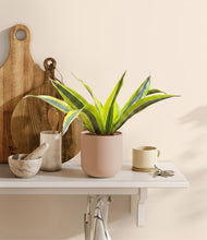 Load image into Gallery viewer, Sandy Pink
