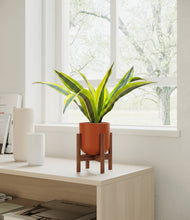 Load image into Gallery viewer, Earth Red stand:walnut
