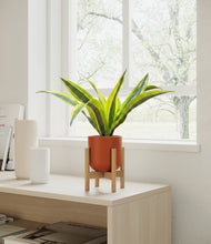 Load image into Gallery viewer, Earth Red stand:bamboo
