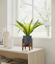 Load image into Gallery viewer, Iron Gray stand:walnut
