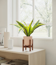 Load image into Gallery viewer, Sandy Pink stand:walnut
