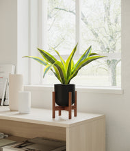 Load image into Gallery viewer, Stone Black stand:walnut
