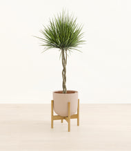 Load image into Gallery viewer, Sandy Pink stand:bamboo
