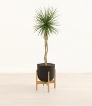 Load image into Gallery viewer, Stone Black stand:bamboo
