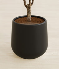 Load image into Gallery viewer, Black stand:all
