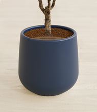 Load image into Gallery viewer, Deep Navy stand:all
