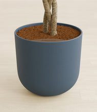 Load image into Gallery viewer, Iron Gray stand:all
