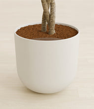 Load image into Gallery viewer, Natural Bamboo stand:all
