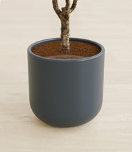 Load image into Gallery viewer, Iron Gray stand:all
