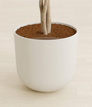 Load image into Gallery viewer, Natural Bamboo stand:all
