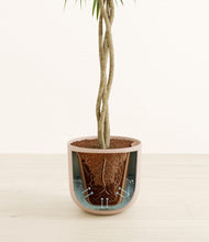 Load image into Gallery viewer, Sandy Pink stand:all

